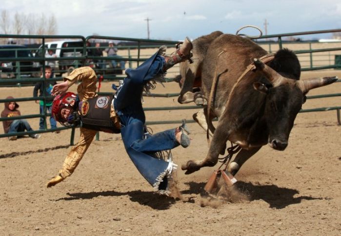 Mini Bull Riding
